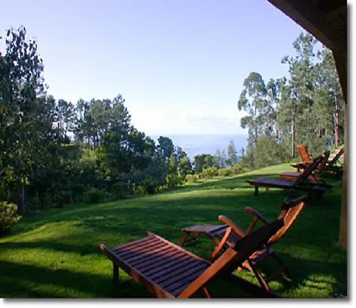 Atrio Hotel Estreito Da Calheta Portugal